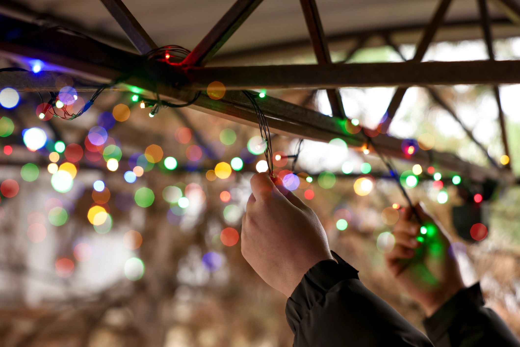 Christmas lights outdoor event